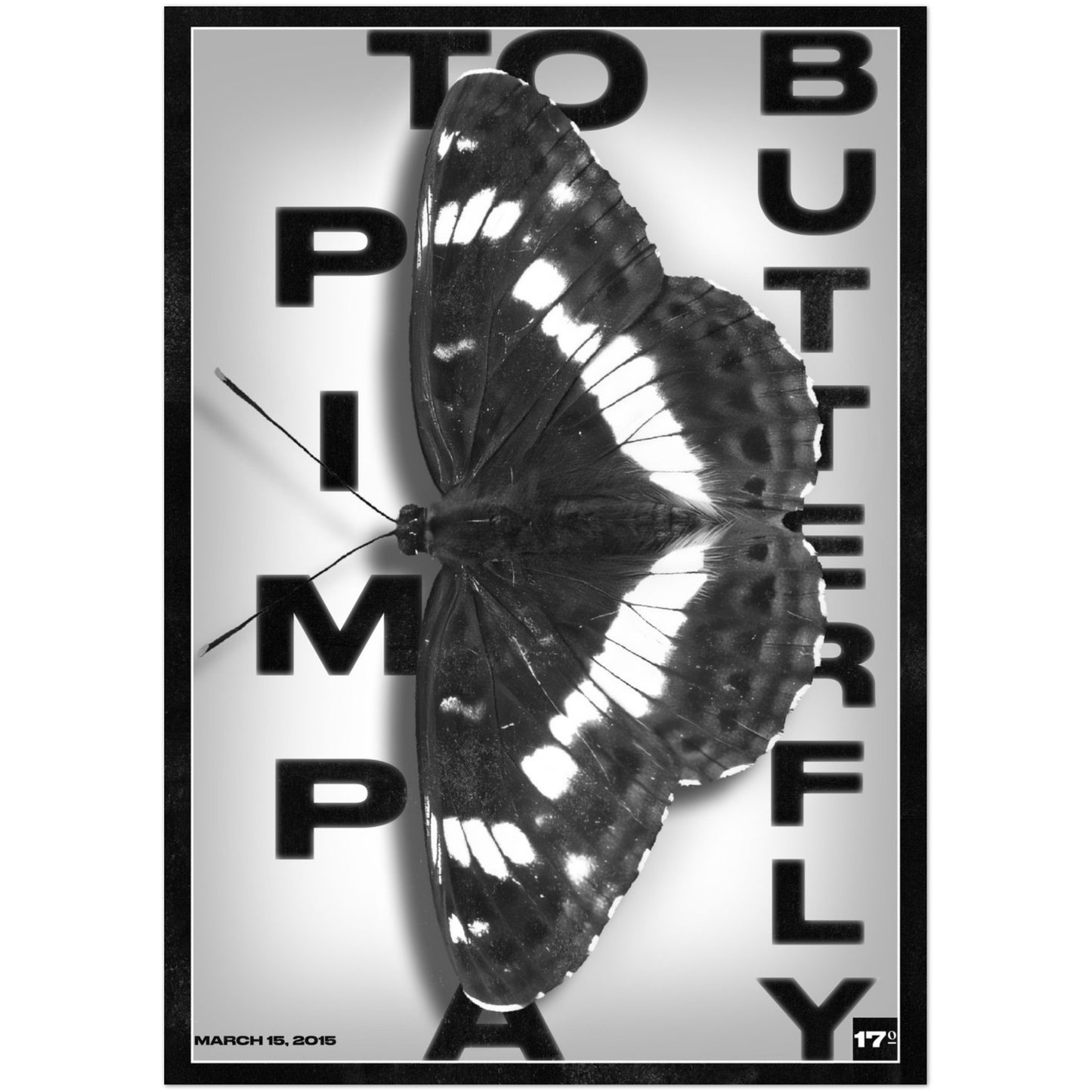 №17 To Pimp A Butterfly