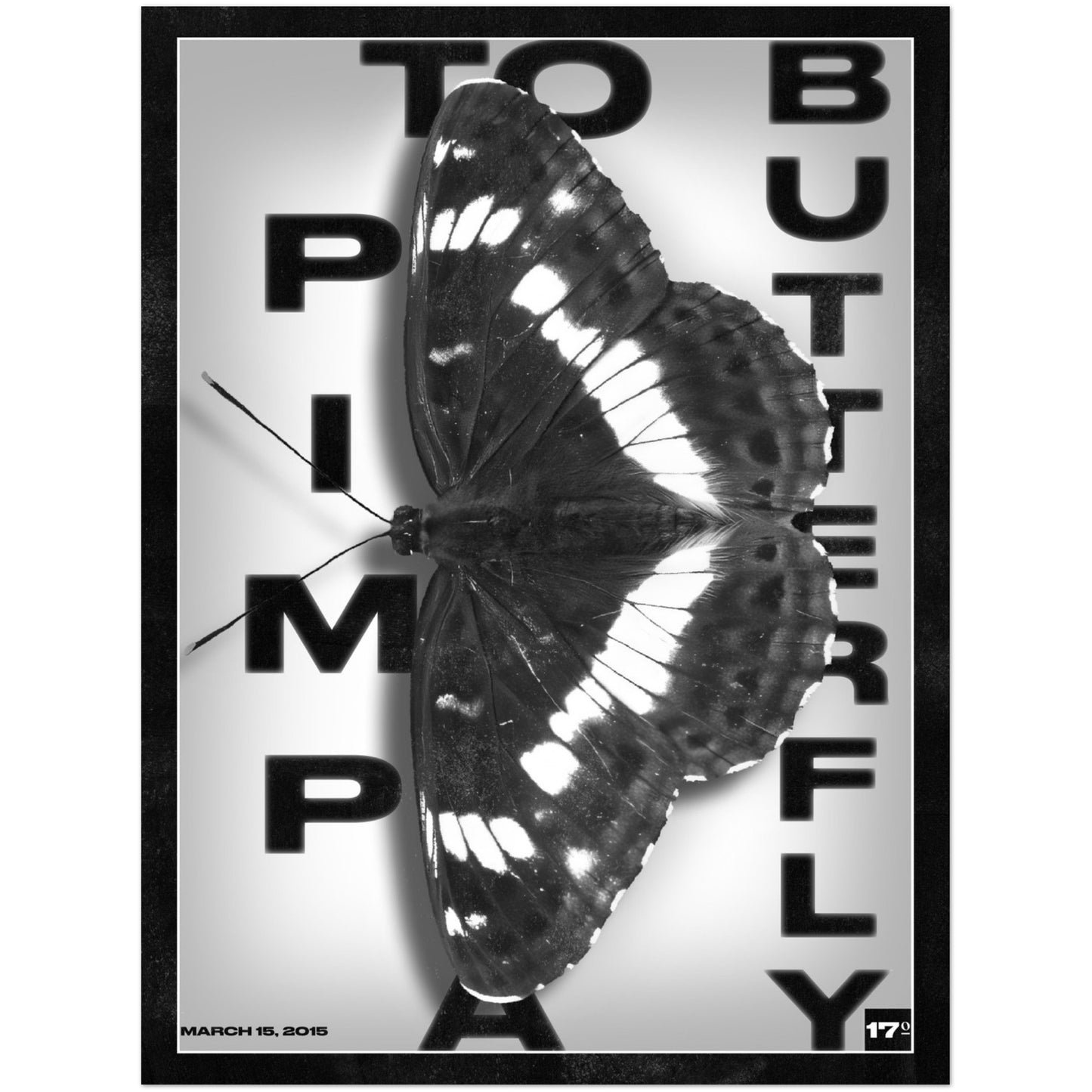 №17 To Pimp A Butterfly